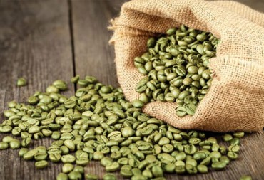 Green Coffee  Beans